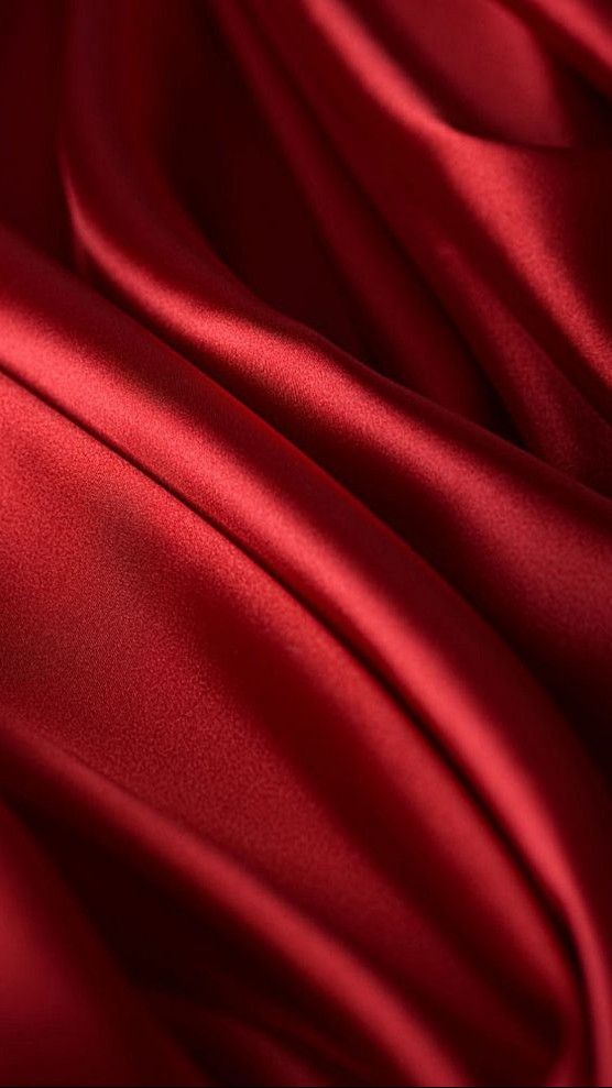 Burgundy Valentino Rose Gown