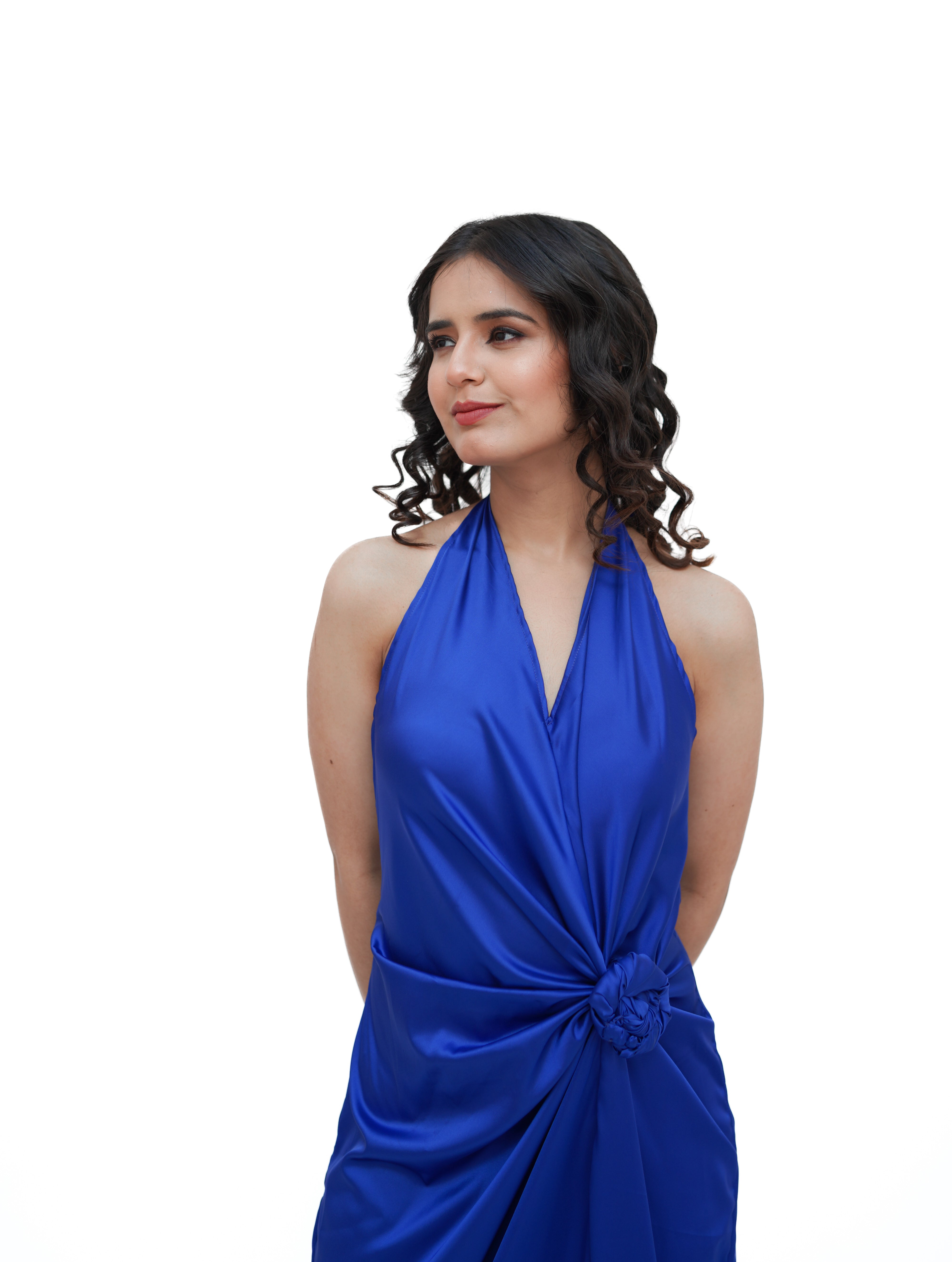 Royal Blue Valentino Rose Gown